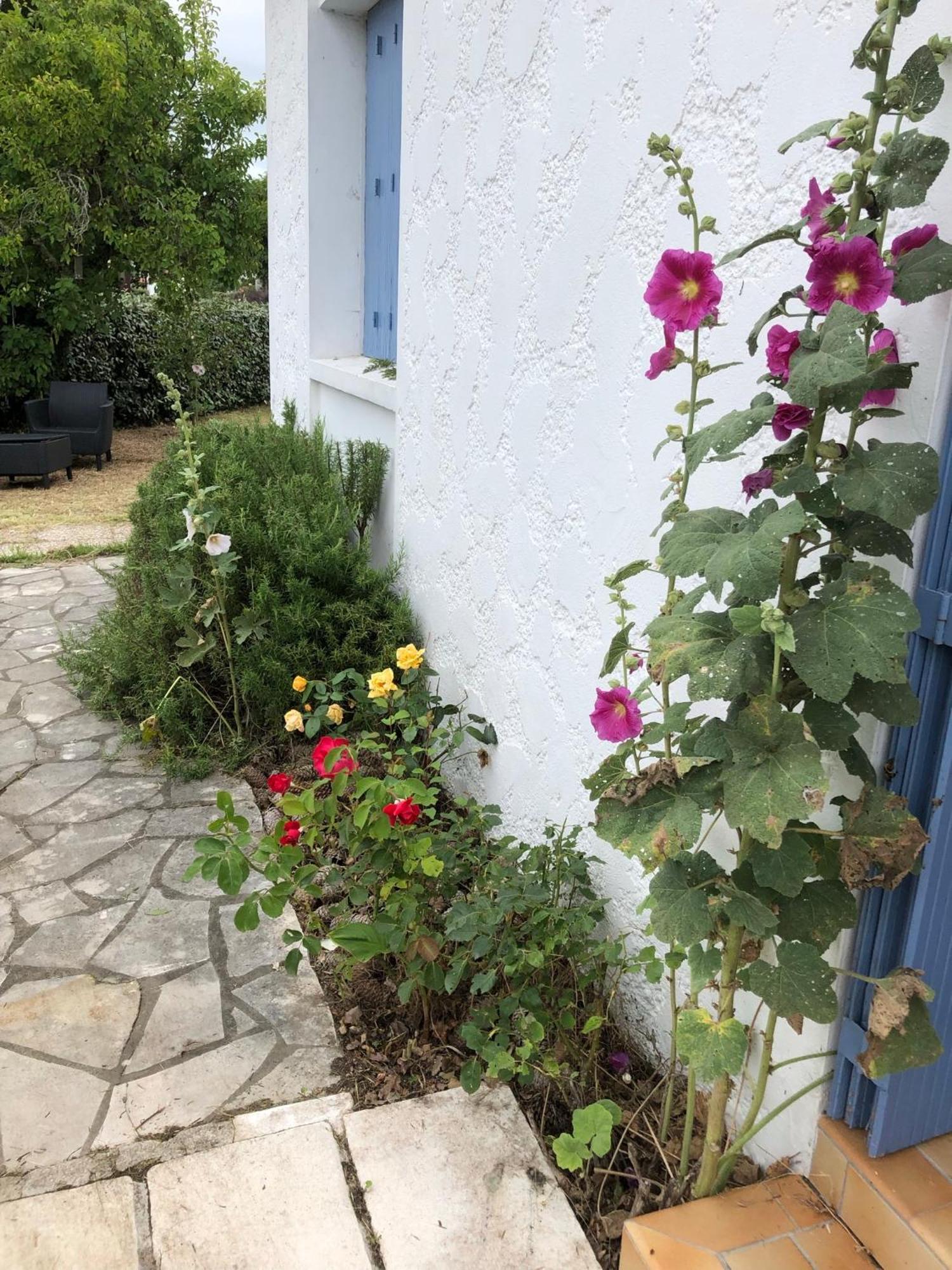 Almigeda Les Mathes Exterior foto